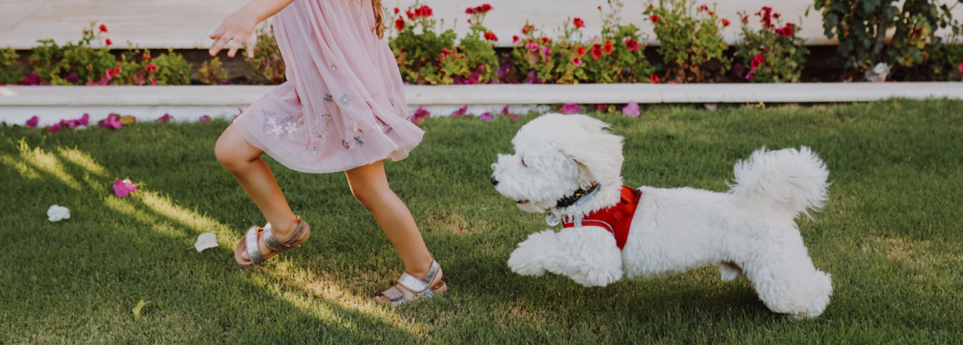 DogWatch of the Gulf Coast, Daphne, Alabama | Outdoor Hidden Dog Fences Slider Image